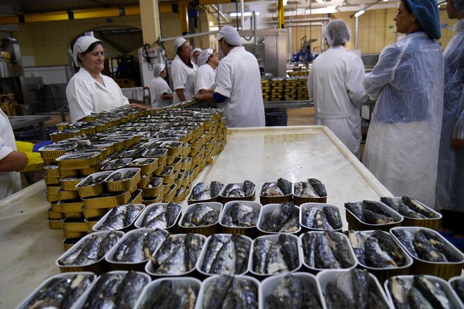 Private Fish Experience with Market-to-table lunch from Porto - Matosinhos Market: Picking the Fish for Your Lunch