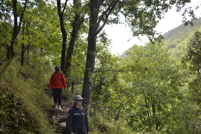 Private Geres National Park Tour with Lunch and Transfers - Price and Value: Why $290.36 Can Make Sense