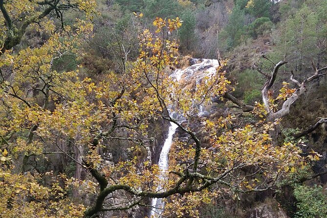 Private Guided Tour - Peneda Gerês National Park - Stop 3: Barragem da Caniçada, a calm reservoir break
