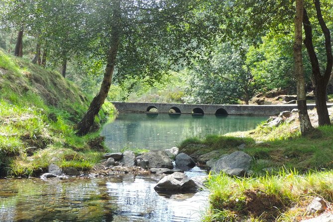 Private Jeep Tour of Marão Nature - Who Should Book This Jeep Tour (and Who Should Think Twice)