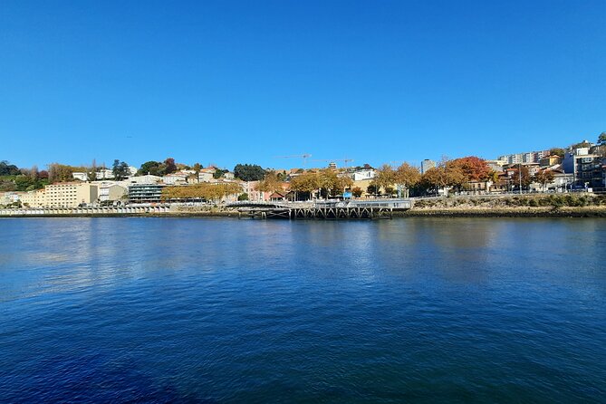 Private Porto City Half Day Tour with River Cruise & Wine Tasting - Rua de Santa Catarina: shopping street time plus real food stops