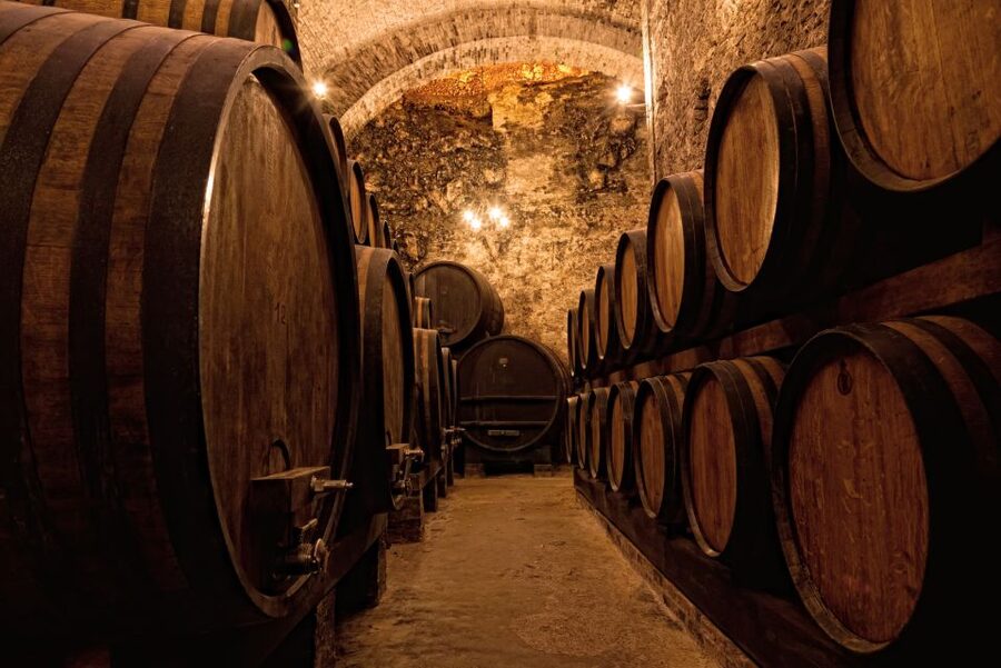 Private Porto Half-Day Tour - Wine Cellars & Cheese Tasting - Portuguese cheese tasting, how to make it feel like more than sampling