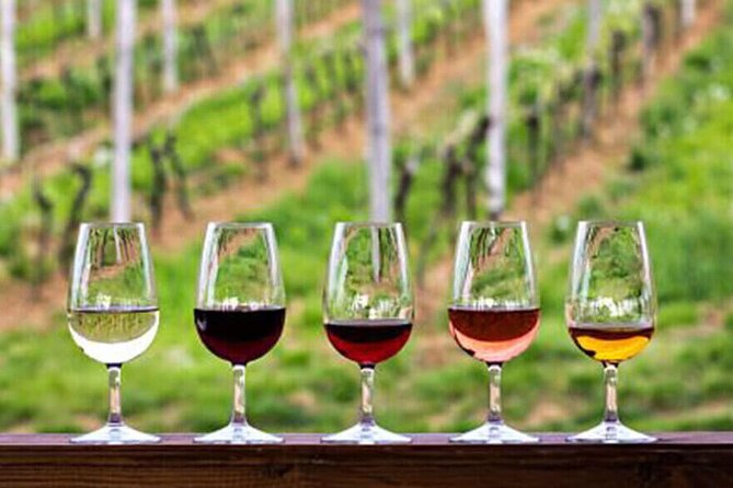 Private Taxi Tour in the Douro with a Visit to 2 Family Vineyards - Why a Private Taxi Douro Day Feels Better Than Bus Hopscotch