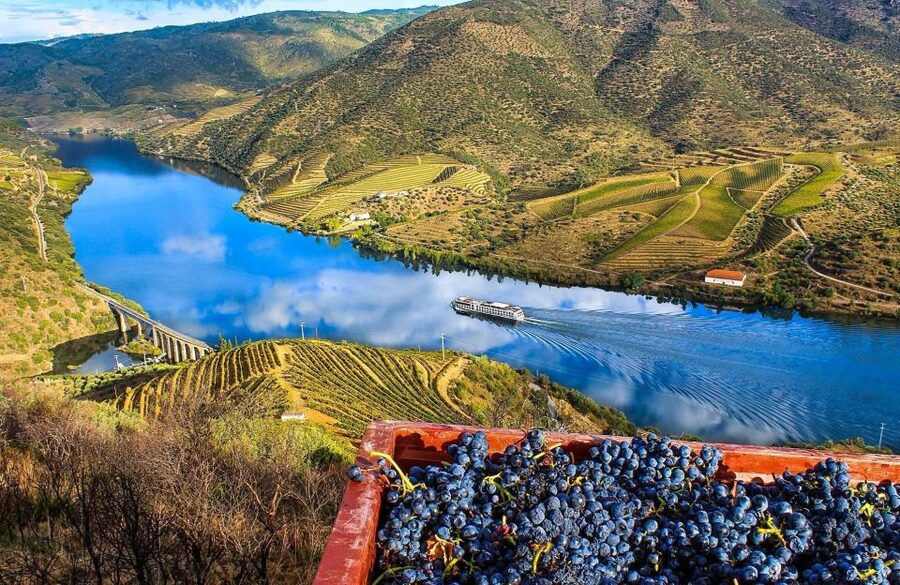 Private Tour: Douro Valley Wine and Food From Porto - Key points worth planning around