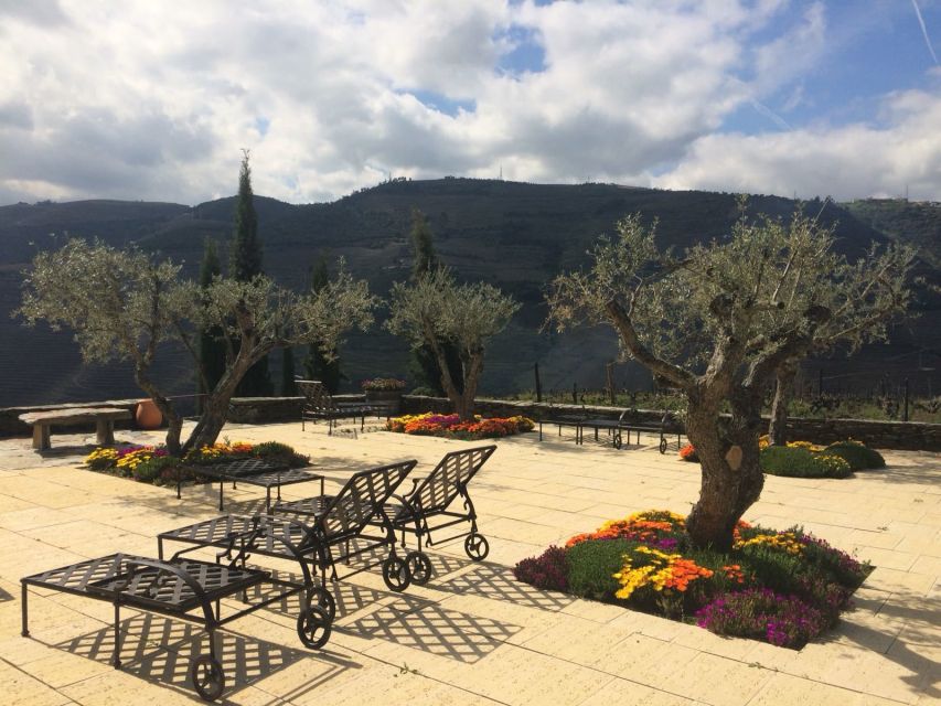 Private Tour: Douro Valley Wine and Food From Porto - Why a private Douro Valley day from Porto makes sense