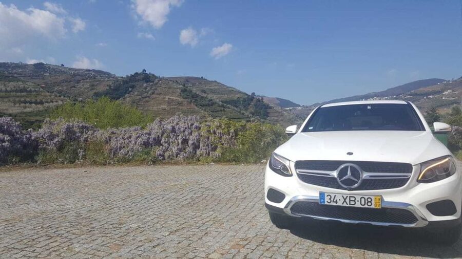 Private Tour: Douro Valley Wine and Food From Porto - Régua stop: guided tour plus wine tasting