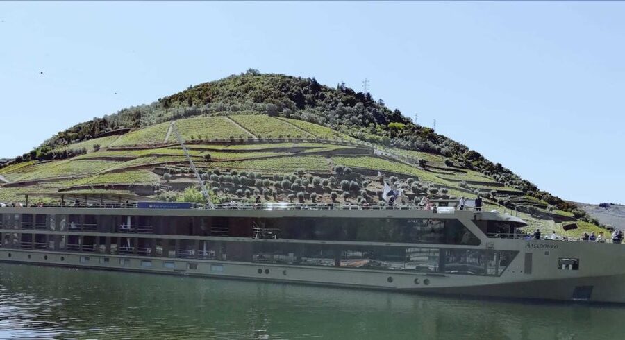 Private Tour: Douro Valley Wine and Food From Porto - After lunch choices: river cruise or more time in Pinhão