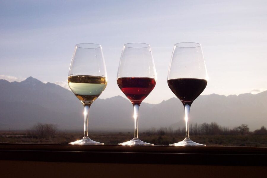Private Tour: Douro Valley Wine and Food From Porto - The guide experience: narration that helps you read the valley