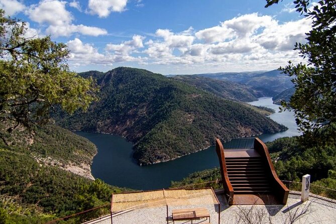 Private Tour from Porto : Douro Valley and Green Wines - Porto wine production visit: from grapes to cellars to tasting
