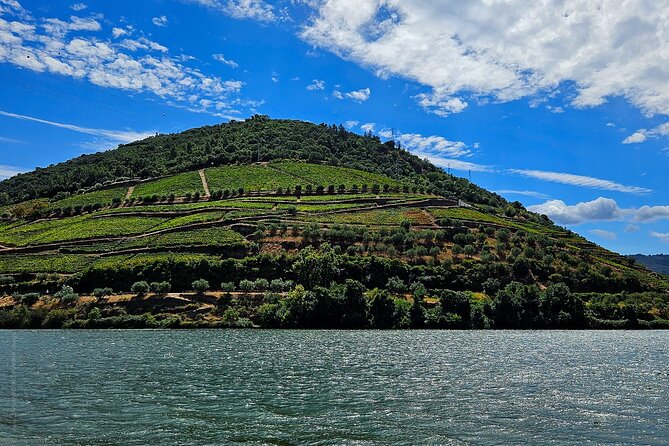 Private Tour from Porto : Douro Valley and Green Wines - The guide and the small details that make it feel smooth