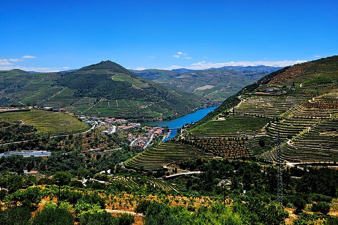 Private Tour from Porto : Douro Valley and Green Wines - Price and value: does it make sense at $216.26 per person?