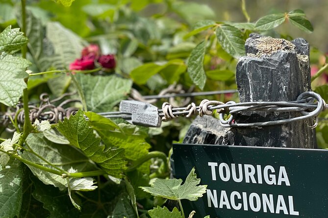 Private Tour From Porto To Douro Valley With River Boat Ride - Quinta do Tedo: wine production, not just wine talk