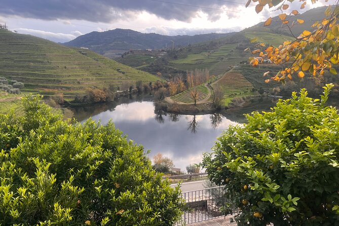 Private Tour From Porto To Douro Valley With River Boat Ride - Casal de Loivos: the charming village finish with wine and olive oil