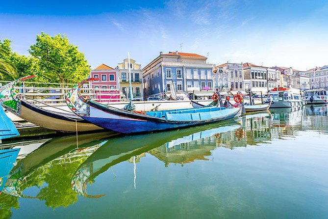 Private Tour to Coimbra, Aveiro and Costa Nova - Tips to Get the Most Out of 8 Hours