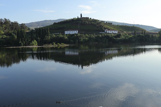 Private tour with 2 wineries and typical harmonized lunch - Stop 1 in Peso da Régua: small family winery, wine tasting included