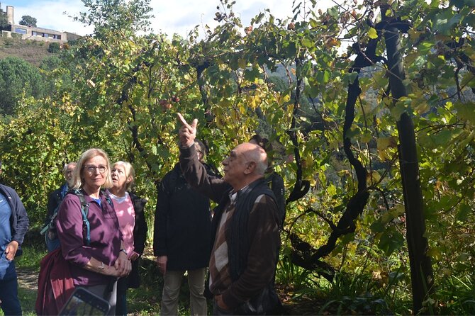 Private Vinho Verde Region Wine Tour from Porto Including Lunch - Key things I’d watch for before you go