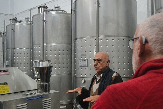 Private Vinho Verde Region Wine Tour from Porto Including Lunch - What to expect from the tastings, including the food tie-ins