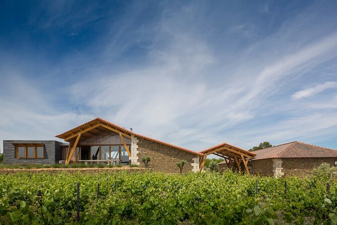 Private visit with wine tasting in Alijó Douro - Price and value: what $23.66 per person buys you