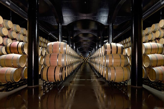Private Wine & Food Tour in Douro - Quinta do Crasto in the Afternoon: Views, Barrel Cellars, and a Guided Tasting