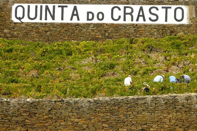 Private Wine & Food Tour in Douro - Quinta Nova de Nossa Senhora do Carmo: The Winemaker-Paired 4-Course Dinner