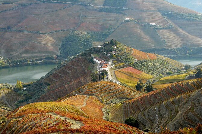 Private Wine & Food Tour in Douro - Who Should Book This Douro Tour (and Who Might Not)