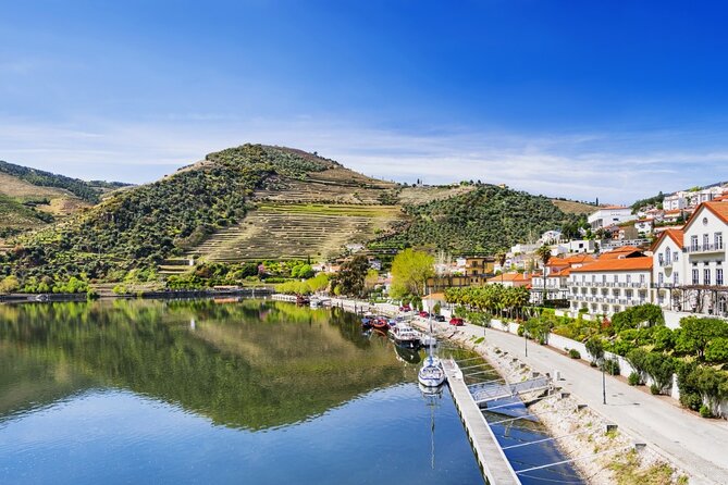 Private Wine & Food Tour in Douro - Quinta do Seixo in Cima-Corgo: Production Details Before You Taste