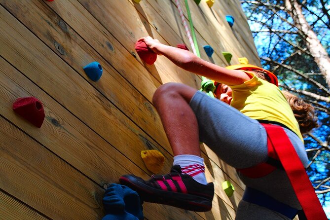 Rappelling and Climbing Adventure in Lamas de Mouro - Tree climbing for beginners, turning nerves into technique