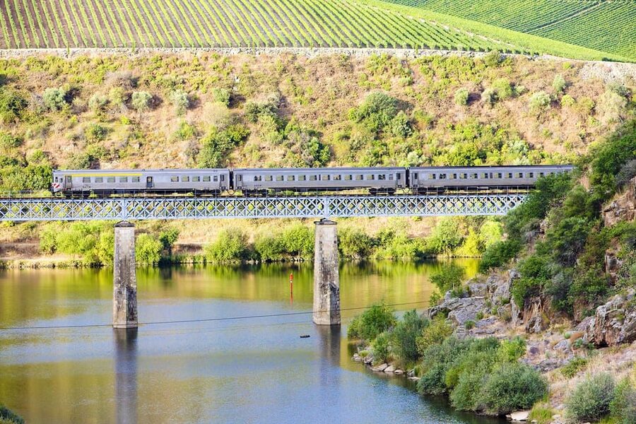 Régua: Wine Tasting at a Farm, Traditional Lunch, Cruise and Train - Quinta da Laceira: Traditional Farm Lunch with Real Douro Pace