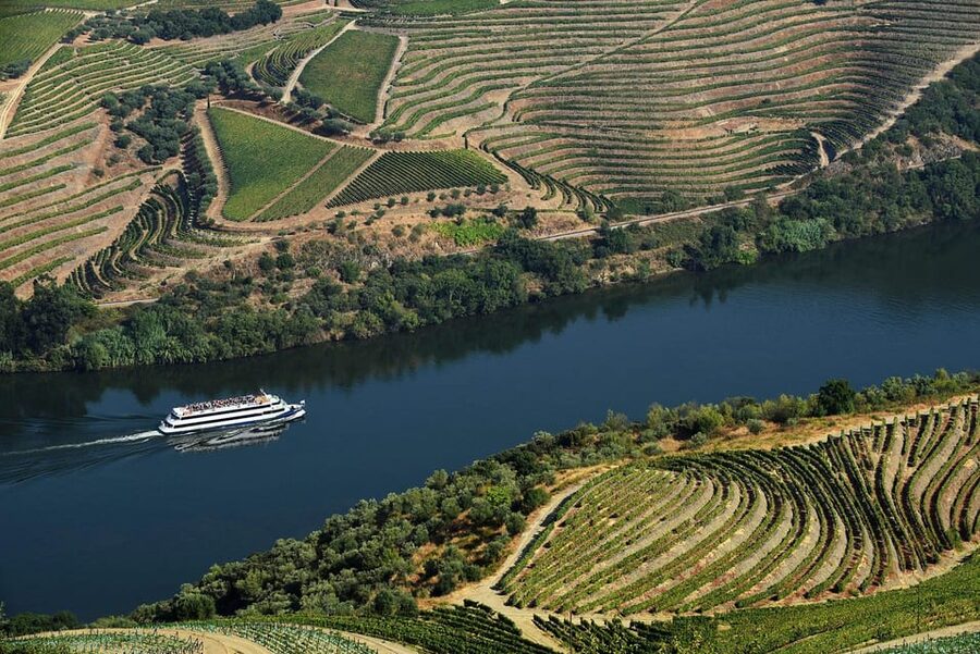 Régua: Wine Tasting at a Farm, Traditional Lunch, Cruise and Train - Who This Day Trip Fits Best