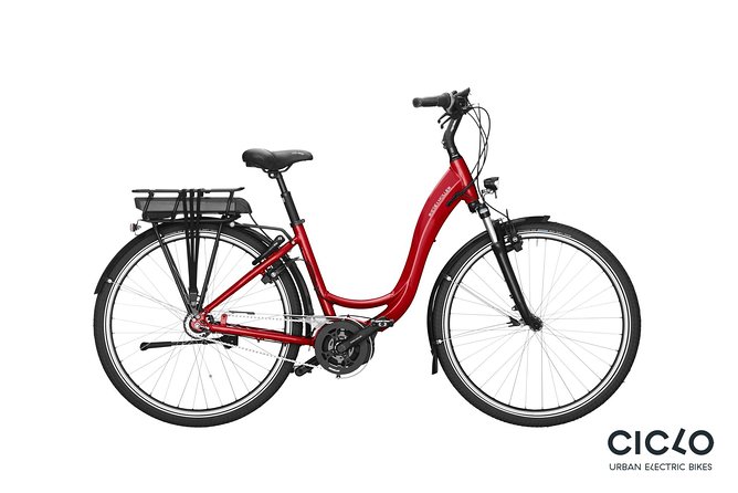 Rent an Electric Bike with Bosch motor - Gaia to Afurada: the morning that pairs views with lunch logic