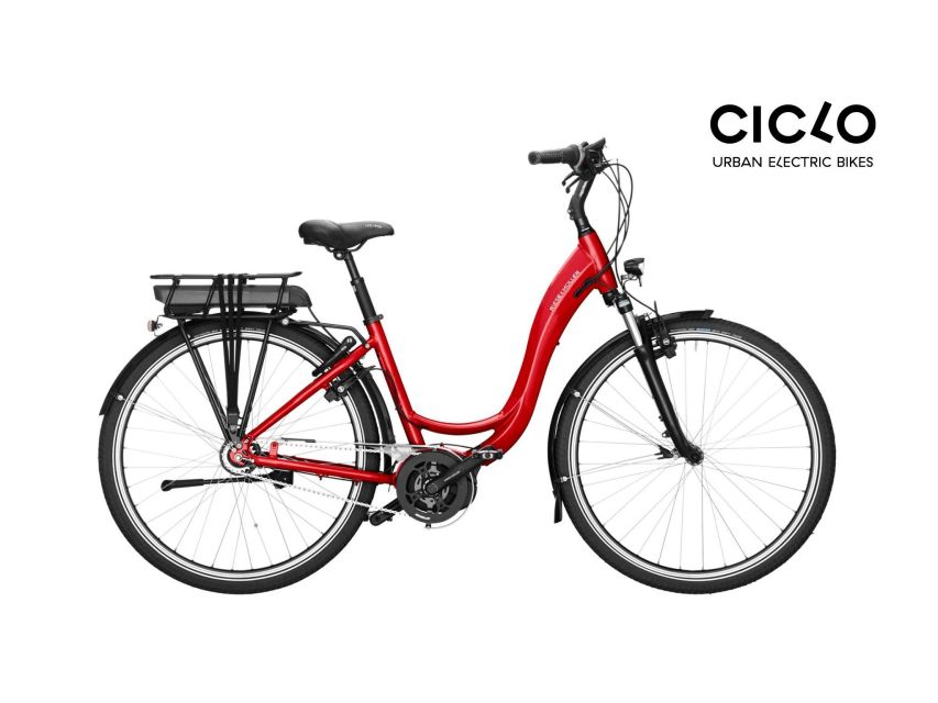 Rent an Electric Bike with Bosch motor - The bike details that make this comfortable, not just fast
