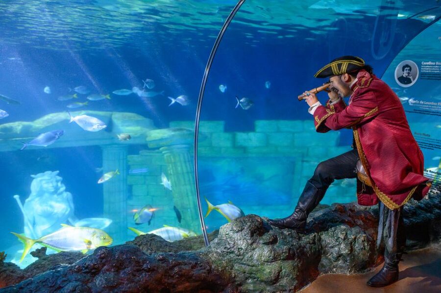 SEA LIFE Porto Full-Day Entrance Ticket - Key Things That Make SEA LIFE Porto Worth Your Time