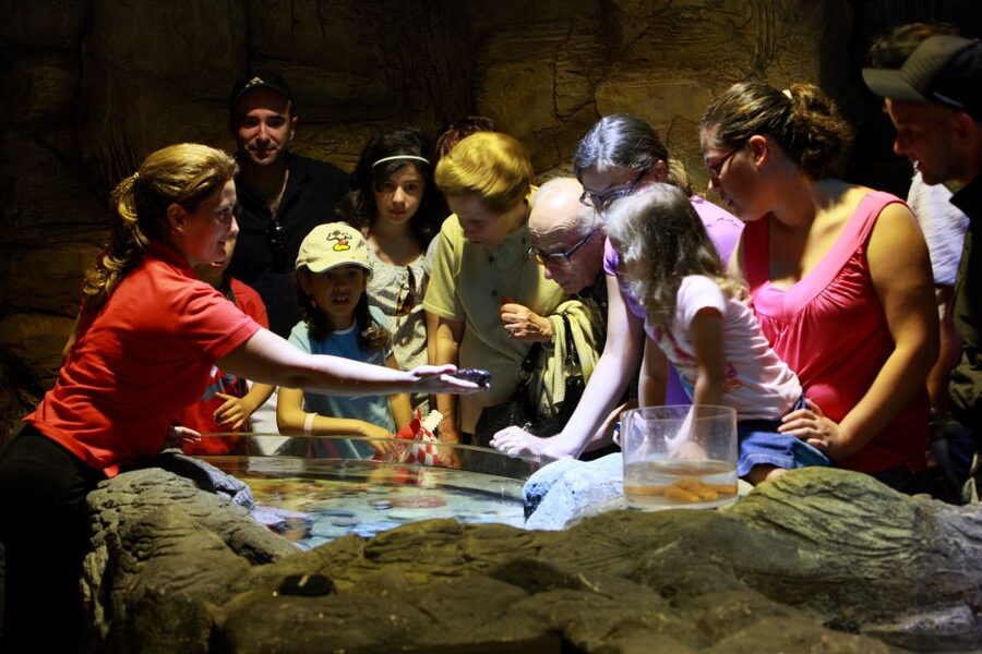 SEA LIFE Porto Full-Day Entrance Ticket - A Practical One-Day Flow You Can Actually Follow