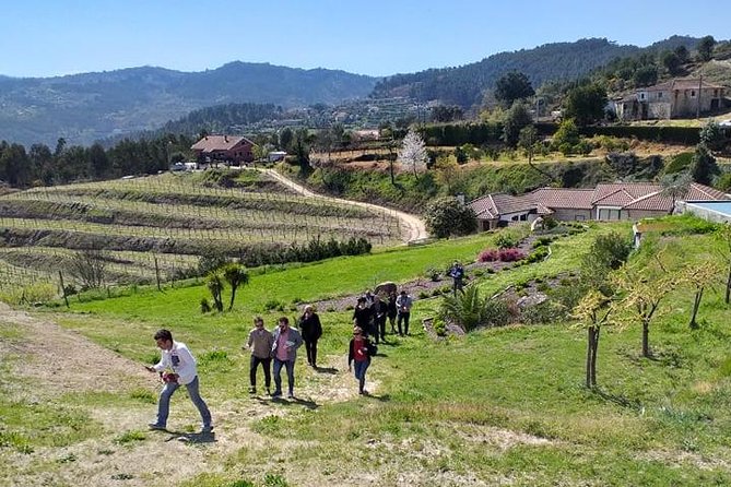 Selection Tasting | Quinta de Santa Cristina Vinho Verde - Rooftop Views and the Kind of Pause You Need