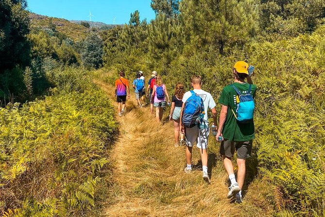 Serra D’Arga Hike, Dive & Dine Like A Local in a Secret Spot - Key Highlights You Should Know
