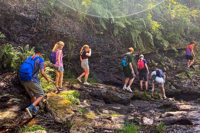 Serra D’Arga Hike, Dive & Dine Like A Local in a Secret Spot - Should you book this hike, swim, and dinner?