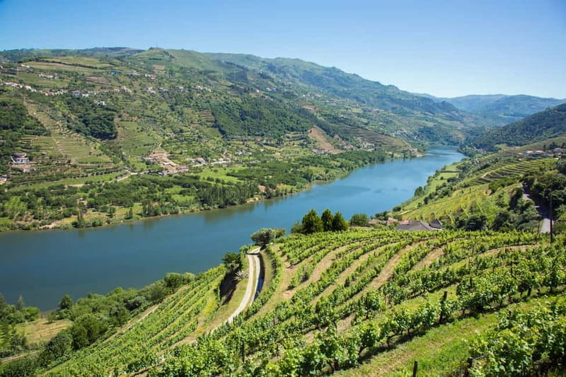 Small Group: Douro Valley Wine Tasting from Porto - Vilarinho de São Romão: the best-view stop plus a family-run tasting
