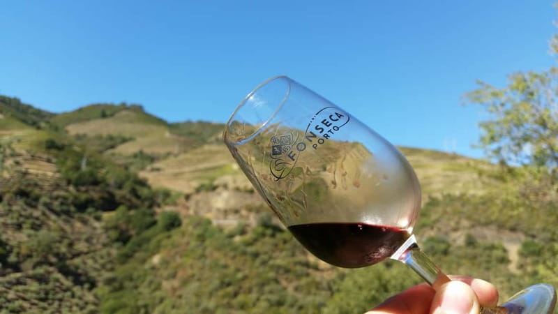 Small Group: Douro Valley Wine Tasting from Porto - Price and value: is $176 worth it?