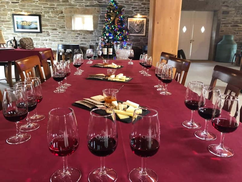 Small Group: Douro Valley Wine Tasting from Porto - Who this tour is best for (and who might skip it)