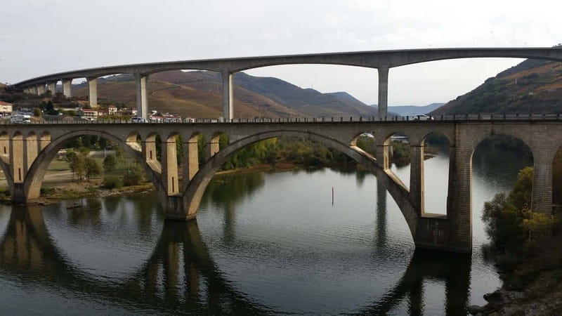 Small Group: Douro Valley Wine Tasting from Porto - Should you book this Douro Valley wine tasting from Porto?