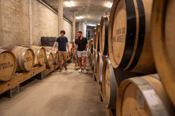 Small Group Douro Valley Wine Tour with Lunch and Cruise - Winery lunch: a 3-course Portuguese meal with Douro DOC wine pairing