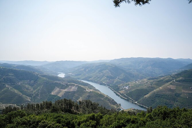 Small Group Douro Valley Wine Tour with Lunch and Cruise - What makes the guides matter, and how the day becomes personal