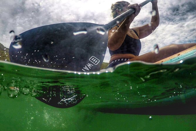 Stand Up Paddle Experience at Lagos do Sabor - On the water at Lagos do Sabor: pace, views, and birds