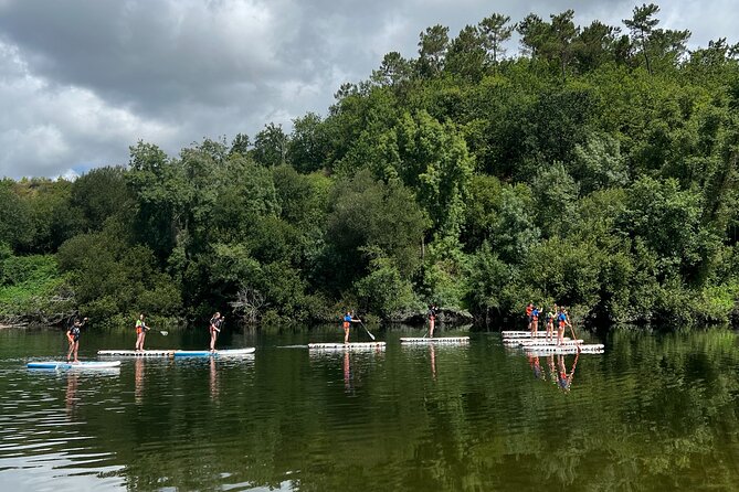Stand Up Paddle Tour - Families on SUP: Why This Works With Kids Aged 6 to 11