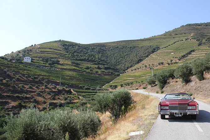 The Luxury Douro tour - Transportation and timing: luxury means attention, not just a big price tag