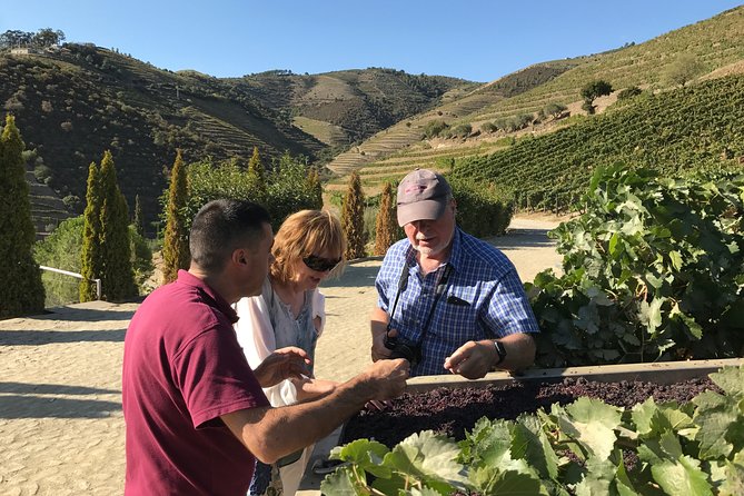 The Luxury Douro tour - Who this Douro luxury day fits best