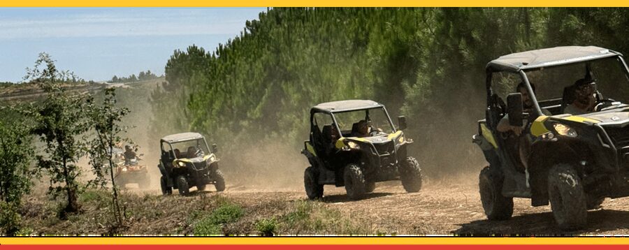 TOUR BUGGY BOTICAS AND CHAVES - Key Points to Know Before You Go