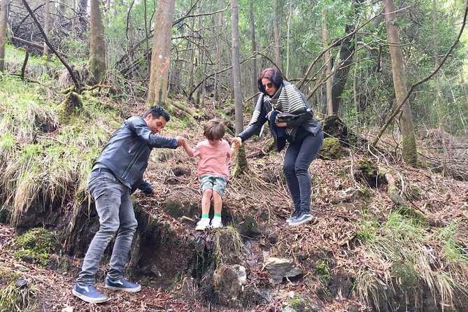Tour to the Waterfalls in 4x4 full day - The guide factor: Rui and the difference between seeing and understanding