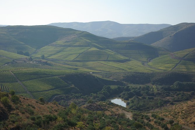 Upper Douro Walk & WineTour - Key highlights worth clocking