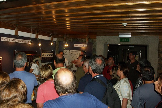 Upper Douro Walk & WineTour - Entering the Alto Douro Wine World at a Quinta